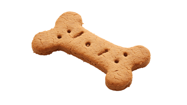 Crunchy Dog Biscuit, Tasty Treat, Pet Food, Image, png