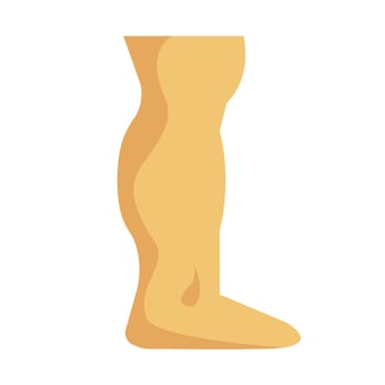 A cartoon man's leg with a foot on it vector