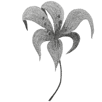 A black and white drawing of a palm tree png