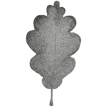 Black silhouette of a leaf on a black background png