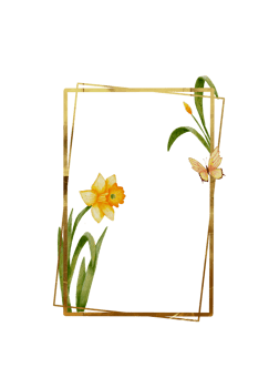 Abstract Golden Floral Border with Spring Flowers, Daffodils and Leaves for Elegant Invitation png