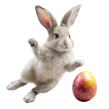 easter bunny jumping photorealistic fluf High-quality transparent image, Happy Easter holiday concept, Romania, png