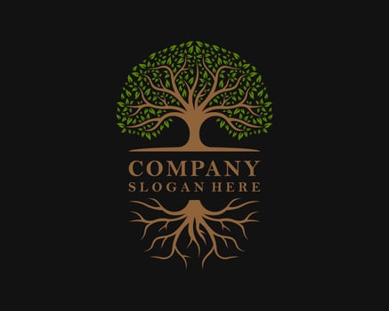 Abstract Oak Tree Root Nature Tree Of Life Vintage Logo Design Illustration vector