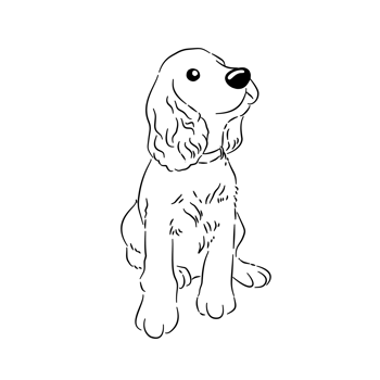 A dog sitting and face to the right top png