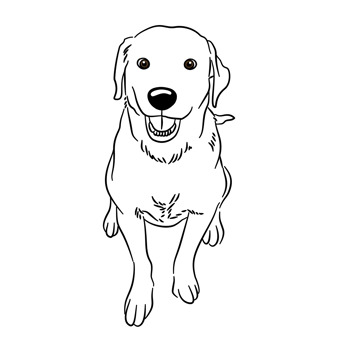 A dog is sitting in middle line art black and white png