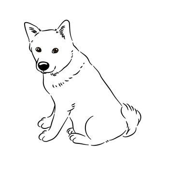 A black cat is looking at the camera png
