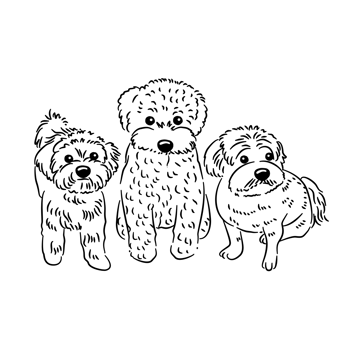 Three dog fur is sitting down png