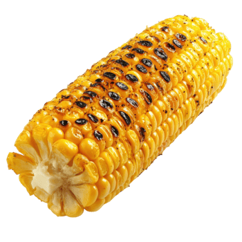 Grilled Corn Cob with Butter on transparent background. png