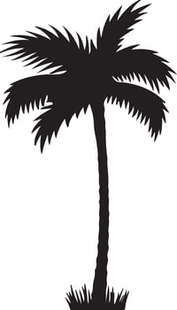 A black silhouette of a plam tree vector