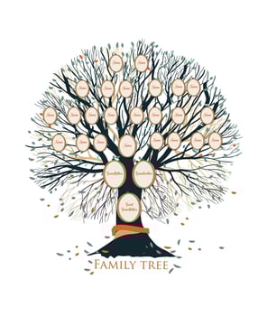 Family tree or genealogical chart template with branches and round portrait frames isolated on white background. Representation of links between relatives and their ancestors. illustration vector