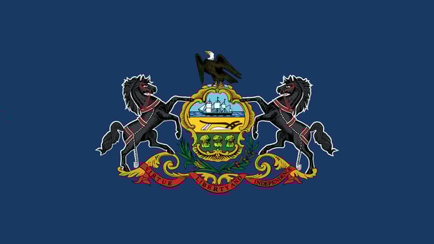 Pennsylvania US State Flag Illustration vector