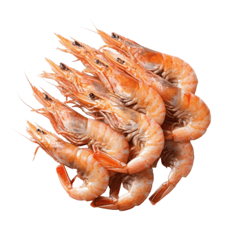 Boiled shrimp arranged on a transparent background showcasing fresh seafood delicacy, Boiled shrimp isolated on transparent background png