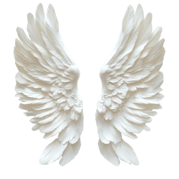 Elegant transparent feathered angel wings symbolizing purity against a soft transparent background, Angel Wings transparent Feathered Symbol of Purity on a transparent background png
