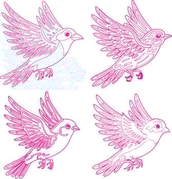 Bird Illustration Art Design vector