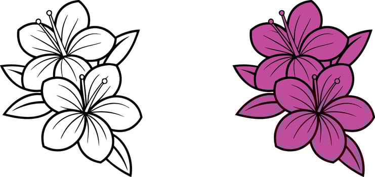 Floral Design Two Hibiscus Flowers, Outline and Colored Version vector