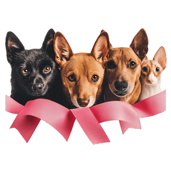 Dogs with Pink Ribbon on Transparent Background png