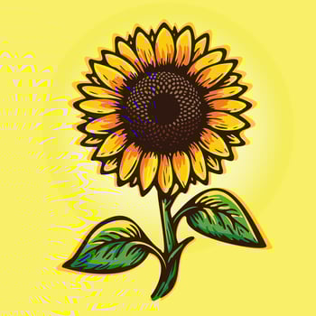 Isolated clipart of an orange blooming sunflower. Yellow flower with leaves. vector