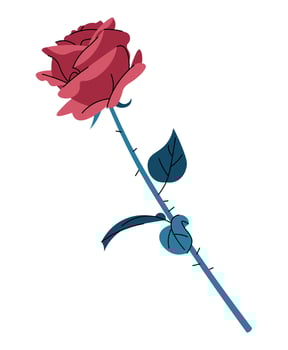 Rose with thorns in flat cartoon style. Beautiful flower on white background. illustration for Valentine's day for cards, stickers, banners, etc. vector
