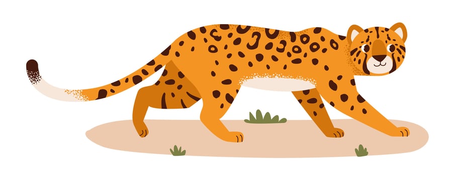 Leopard in its natural habitat. Savannah animal. Flat illustration. vector