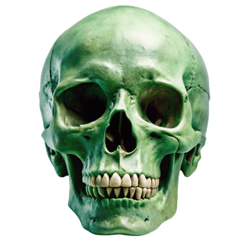 Green Skull Mysterious and slightly eerie human skull in vibrant green hue png