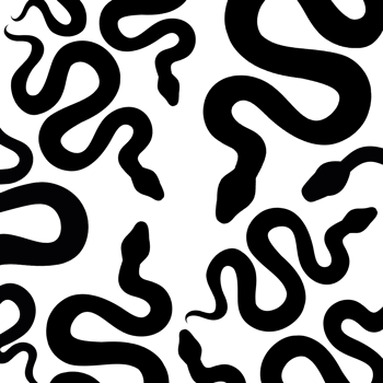 Many snakes silhouette. Snake aesthetic. Year of the snake png