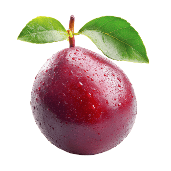 Ripe rambeh tropical fruit with fresh green leaf on a clean transparent background showcasing its natural beauty, Rambeh tropical fruit with leaf on transparent background png