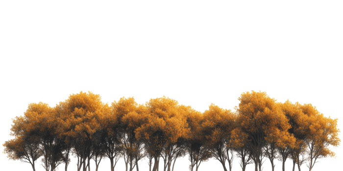 Row of autumn trees with orange foliage top view isolated on transparent background png
