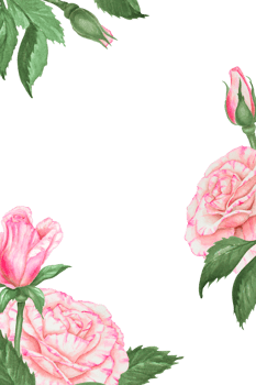 Hand-painted watercolor floral frame featuring pink roses and green leaves. Template with space for text, perfect for wedding invitations, Valentine s Day cards, Mother s Day or spring-themed projects png