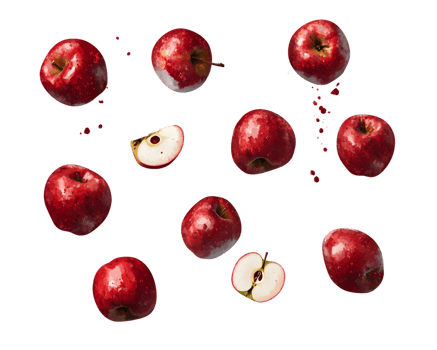 Digital Illustration of Twelve Red Apples and Two Apple Halves png