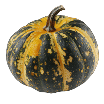 Fresh Pumpkin Orange Vegetable Harvest png
