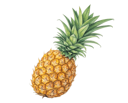 Vibrant Pineapple Illustration Tropical Fruit, Digital Art, Colorful Background png