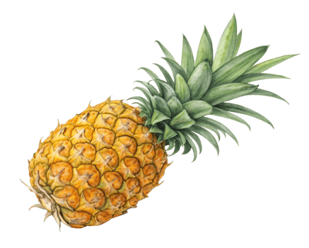 Vibrant Pineapple Illustration, Tropical Fruit, Artistic Design, Colorful Background, Summer Vibes, png