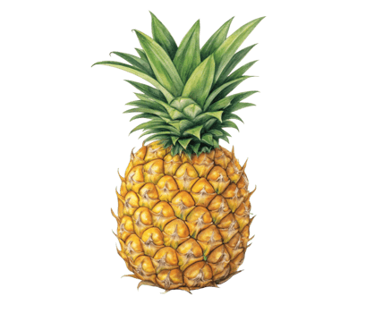 Ripe Yellow Pineapple Fruit Tropical Sweet Summer Delight png