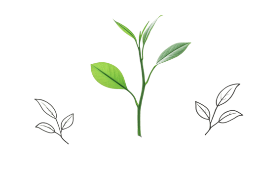 Abstract Tea Plant Leaves Glitch Art Digital Design png