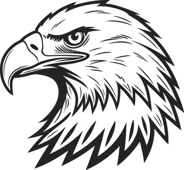 Majestic Eagle Head vector
