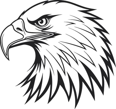 Adobe Eagle Head IllustrationArtwork vector