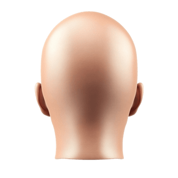 head of a mannequin on a transparent background png