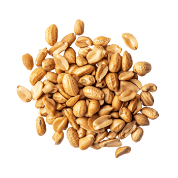 Roasted peanuts known as tigerstripe beans isol on a transparent background showcasing their unique texture and appearance, roasted peanuts thai name is tigerstripe beans isolated on transparent background png
