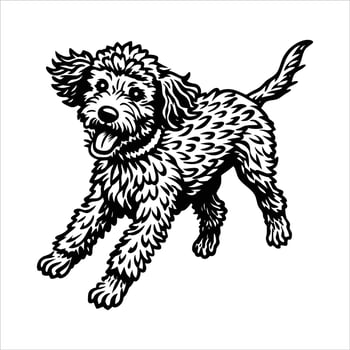 Lagotto Romagnolo Jumping pose vector