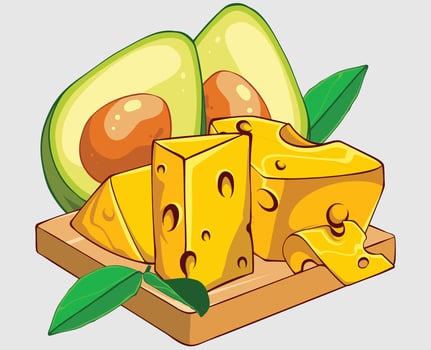 Yellow Cheese Avocado vector