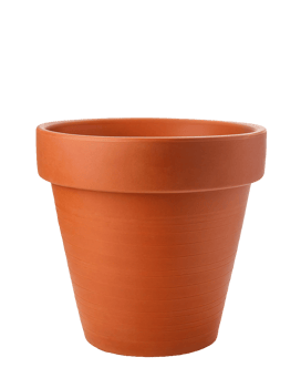 terracotta flower pot isolated background, classic clay plant container for gardening or home decor png
