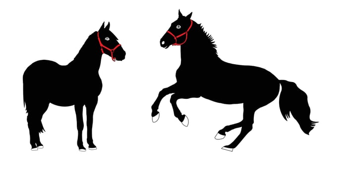Silhouettes of Two Horses with Red Halters. Horse , Horse Icon, Horse Logo. vector