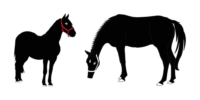 Two Black Horse Silhouettes with Red Halters. Horse , Horse Icon, Horse Logo. vector