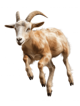 A goat is jumping in the air with its horns up png