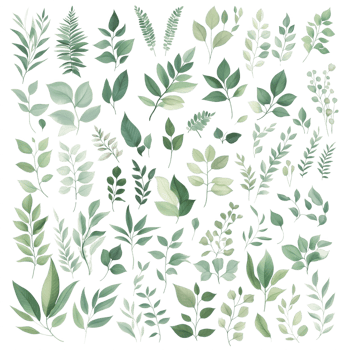 A collection of green leaves and branches. png