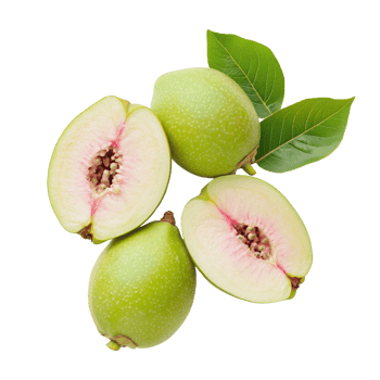 Fresh guava slices with vibrant green leaves resting on a pristine transparent background showcasing natural beauty, Guava on transparent background background png