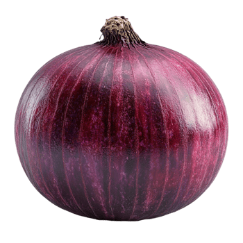 Red Onion with Glossy Smooth Surface and Visible Stripes png