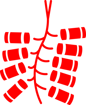 Firecracker icon with gold, a symbol of Chinese New Year festival. png