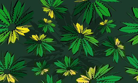 abstract green leaf texture, jungle leaf seamless floral pattern background. nature color. vector