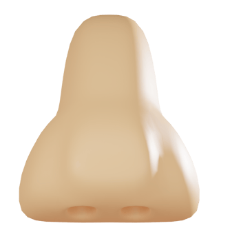 3D render, Nose for Medical Studies and Facial Anatomy, Icon Illustration png
